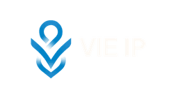 VIE IP Logo